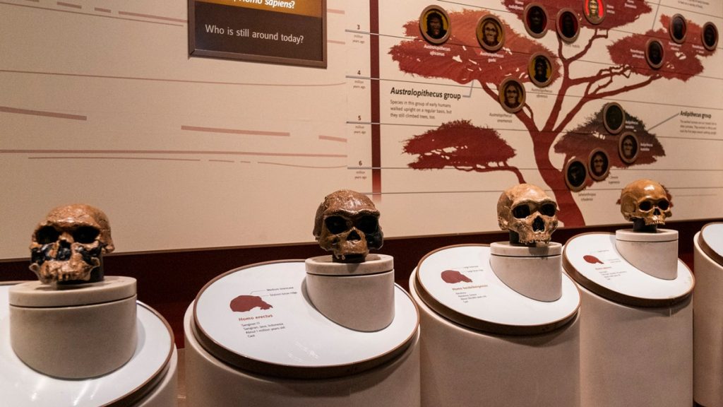 [aggregator] downloaded image for imported item #2108