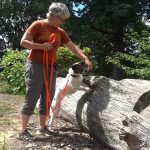 [aggregator] downloaded image for imported item #1983