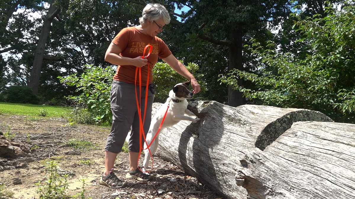 [aggregator] downloaded image for imported item #1983