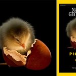 [aggregator] downloaded image for imported item #5206