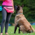 [aggregator] downloaded image for imported item #5354