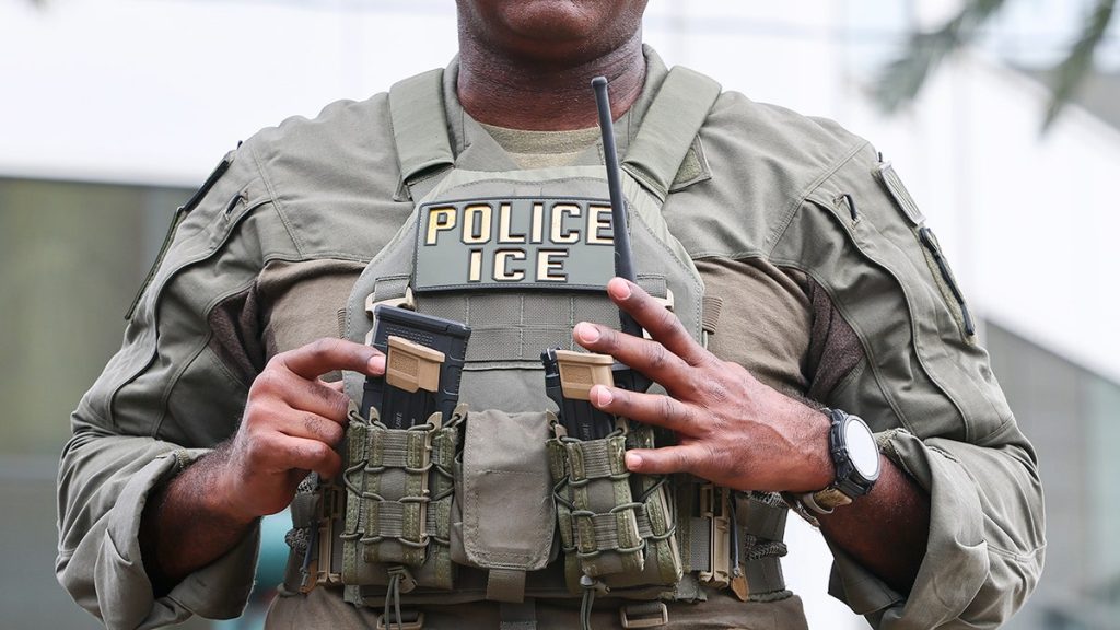 [aggregator] downloaded image for imported item #4417