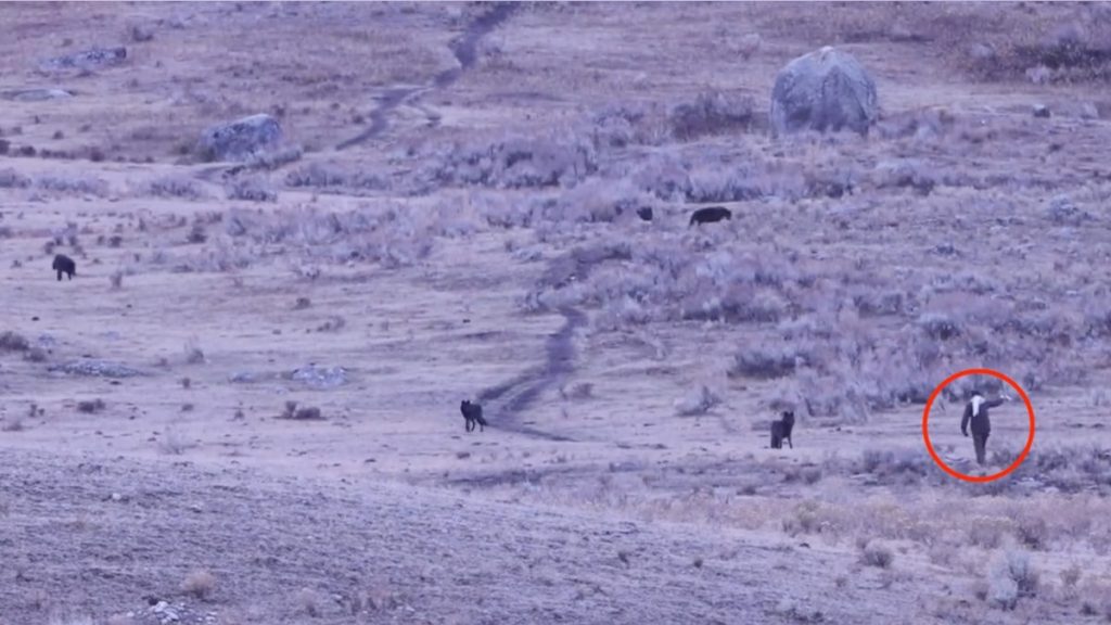 [aggregator] downloaded image for imported item #2537