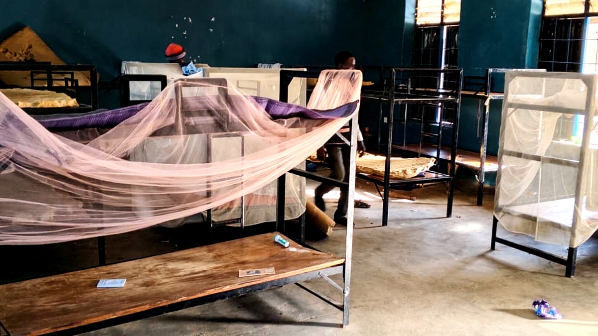 [aggregator] downloaded image for imported item #3023