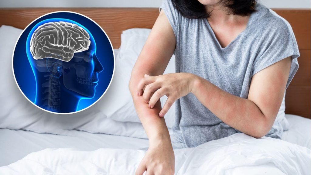 [aggregator] downloaded image for imported item #6989