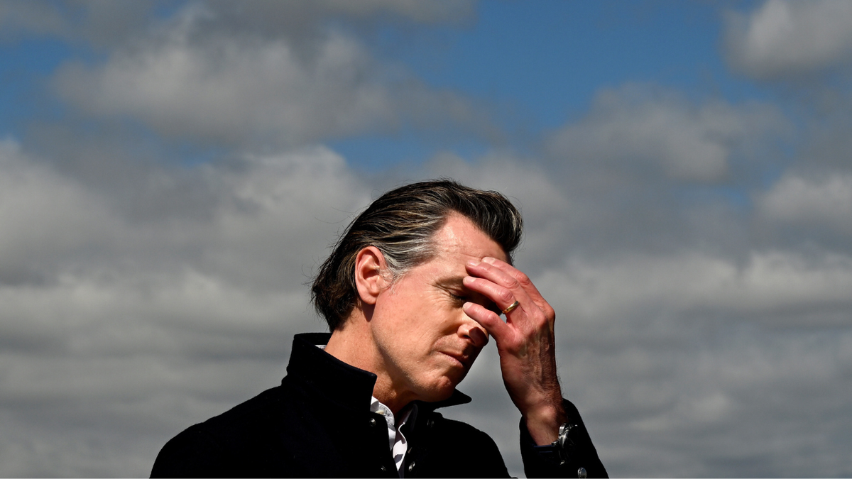 [aggregator] downloaded image for imported item #23735