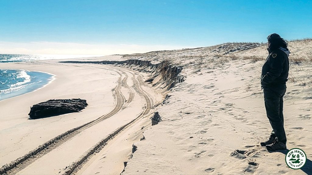 [aggregator] downloaded image for imported item #31633