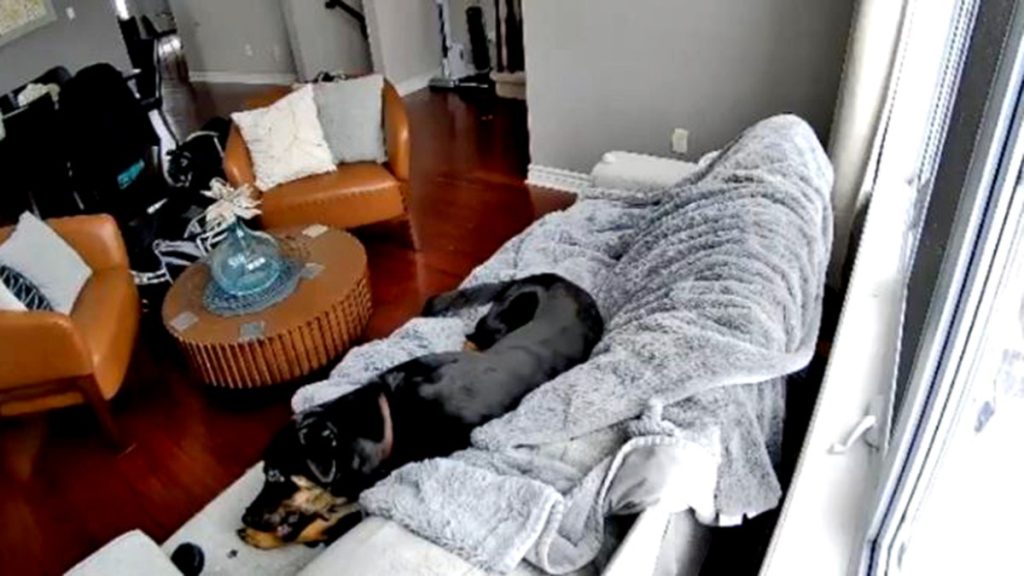 [aggregator] downloaded image for imported item #22804