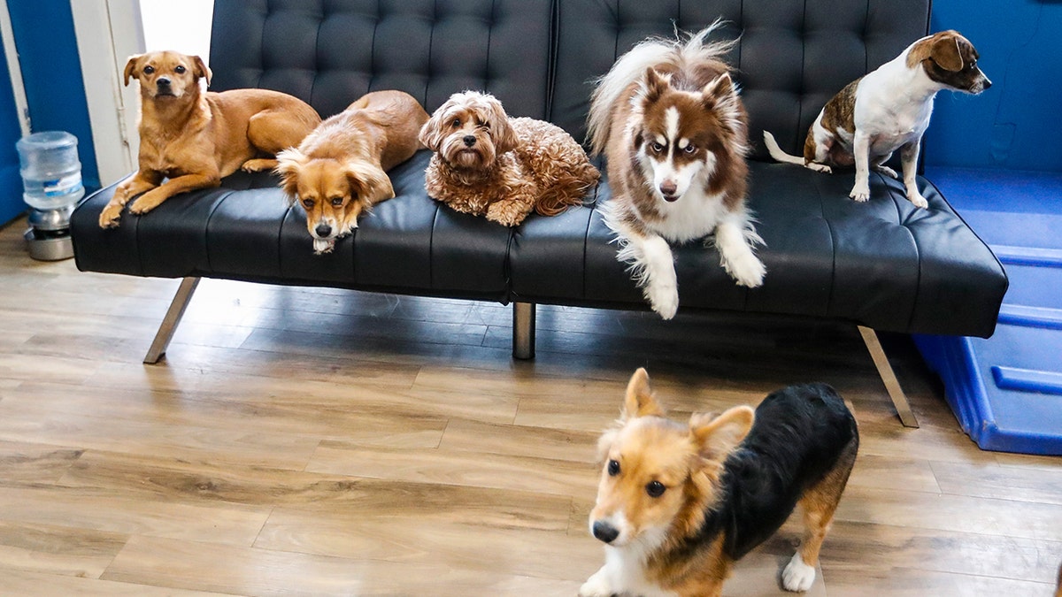 [aggregator] downloaded image for imported item #29454