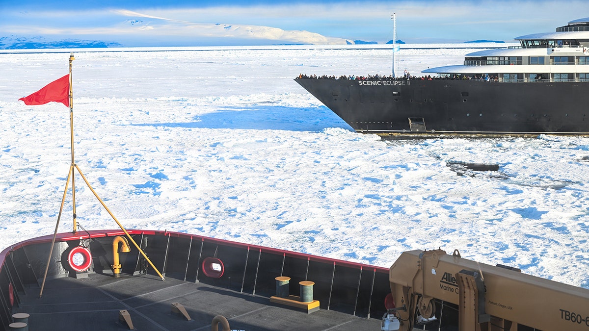 [aggregator] downloaded image for imported item #30159