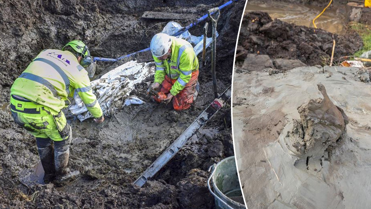 [aggregator] downloaded image for imported item #28374