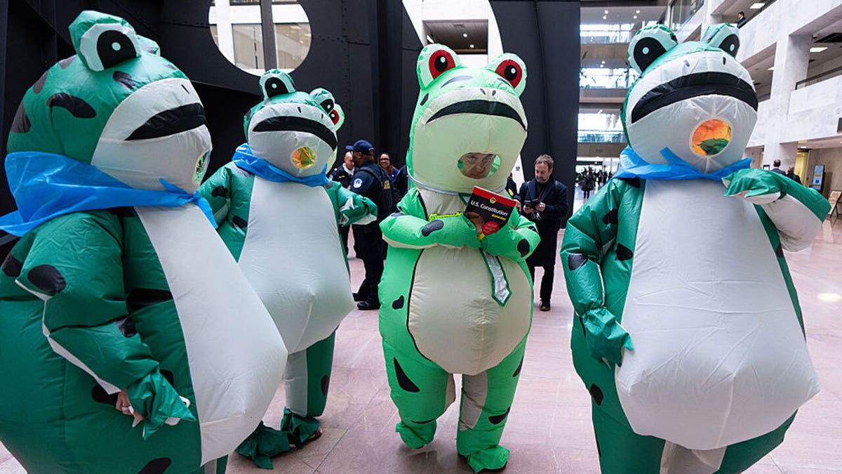 [aggregator] downloaded image for imported item #44203