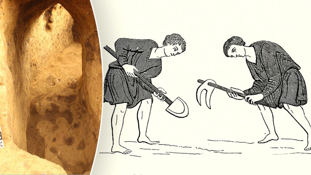 [aggregator] downloaded image for imported item #35878