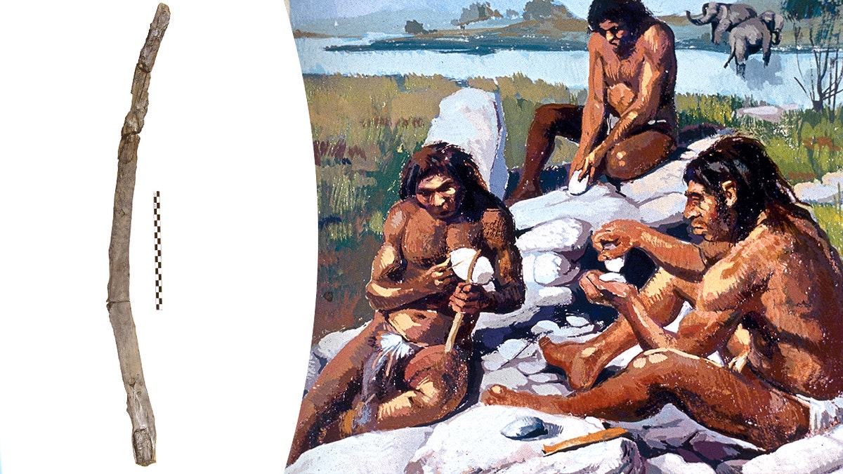 [aggregator] downloaded image for imported item #35042