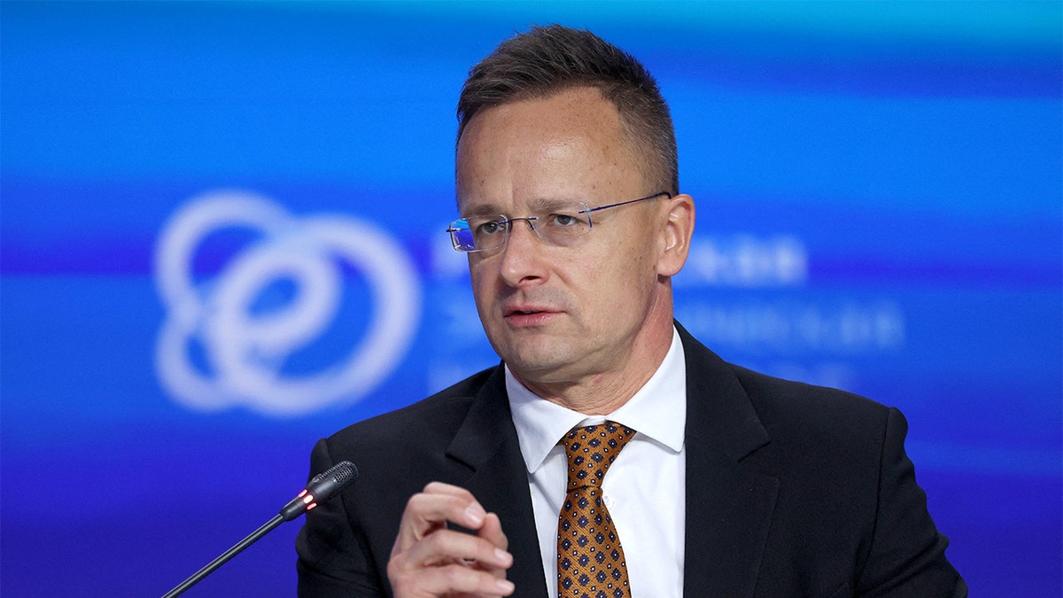 [aggregator] downloaded image for imported item #41779