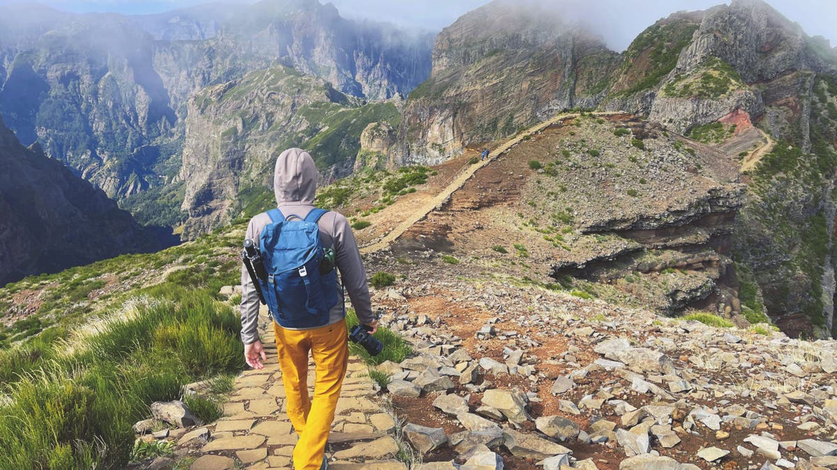 [aggregator] downloaded image for imported item #37433