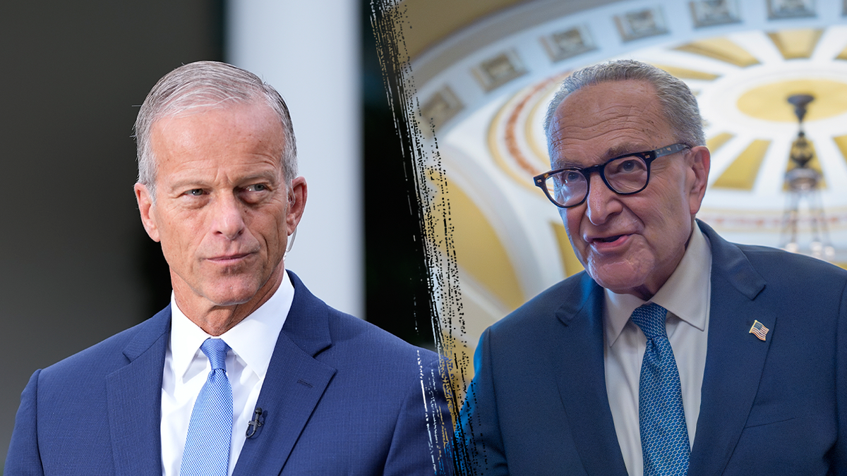 [aggregator] downloaded image for imported item #44030