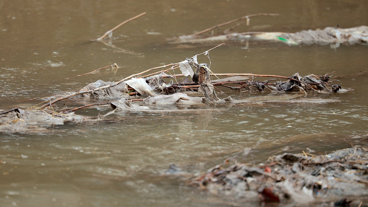 Green rhetoric, polluted water: The Left’s DC sewage failure is a disgrace image