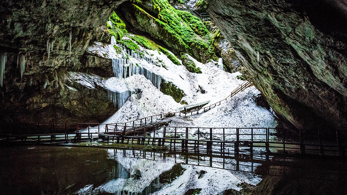 [aggregator] downloaded image for imported item #42493