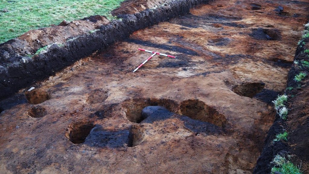 [aggregator] downloaded image for imported item #41081