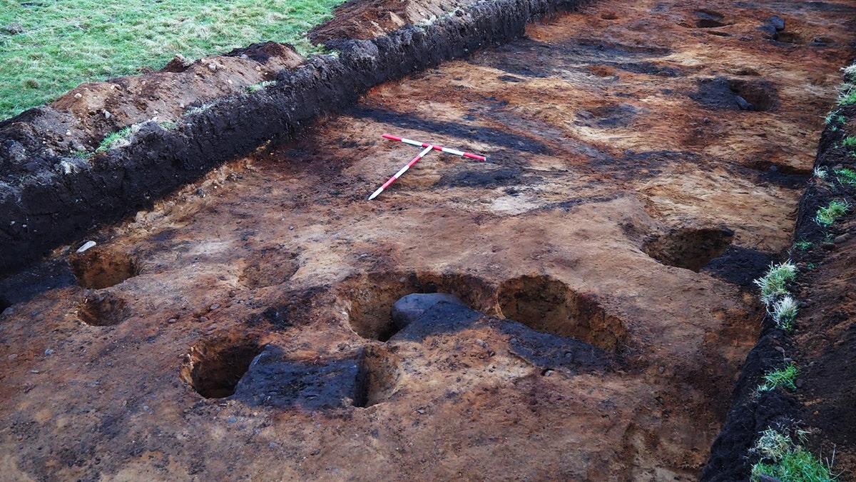 [aggregator] downloaded image for imported item #41081