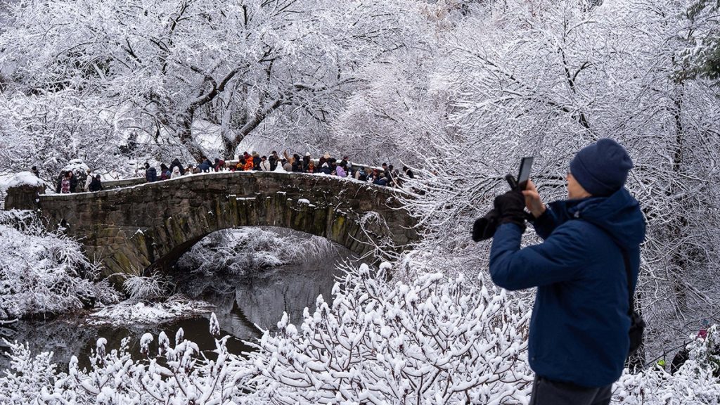 [aggregator] downloaded image for imported item #41937