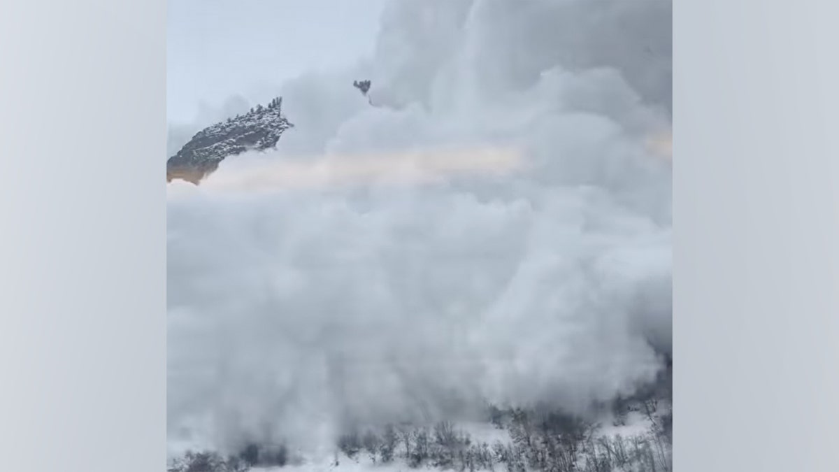 [aggregator] downloaded image for imported item #41137