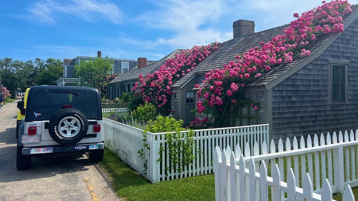 [aggregator] downloaded image for imported item #50167