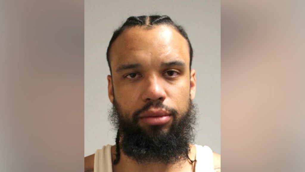 [aggregator] downloaded image for imported item #48490