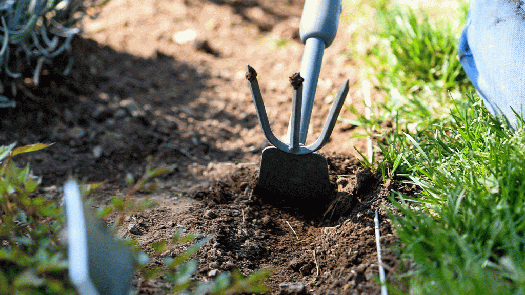 [aggregator] downloaded image for imported item #51241