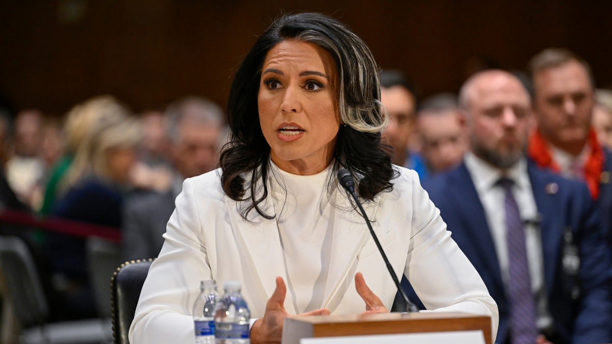 Gabbard unaware of FBI probe into Joe Kent before resignation, official says