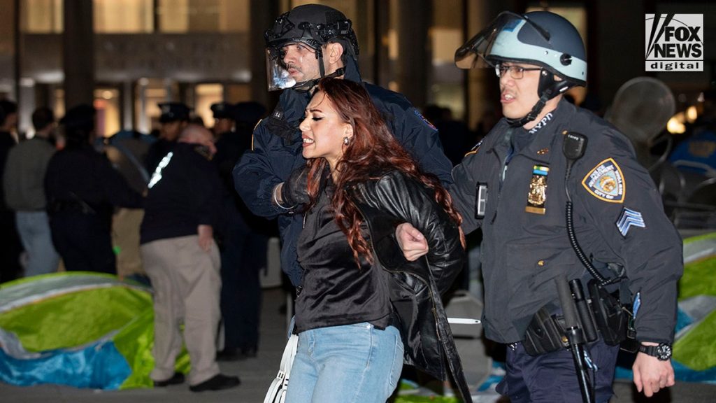 [aggregator] downloaded image for imported item #65946