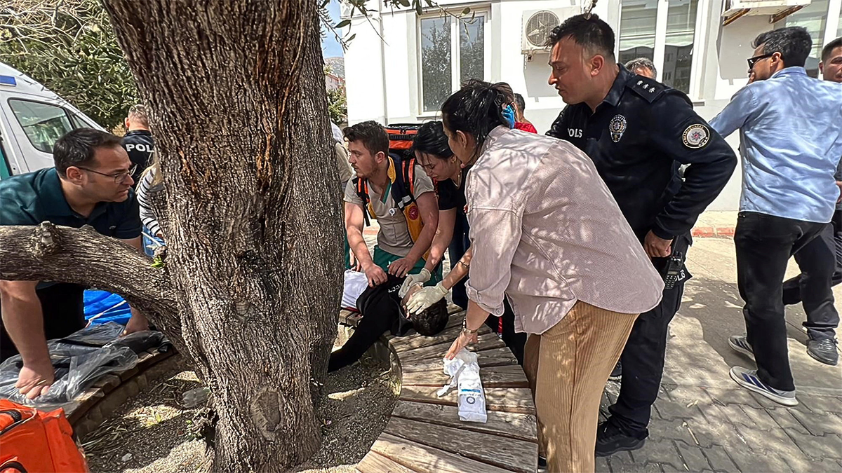 [aggregator] downloaded image for imported item #65121