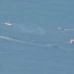 [aggregator] downloaded image for imported item #63251