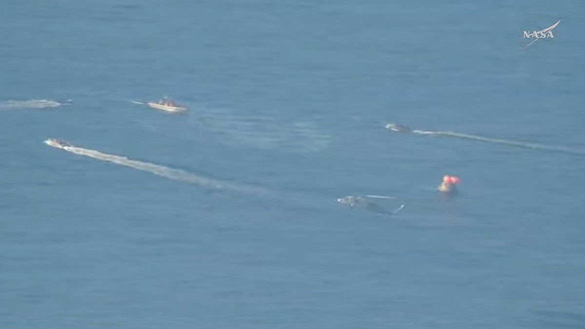 [aggregator] downloaded image for imported item #63251