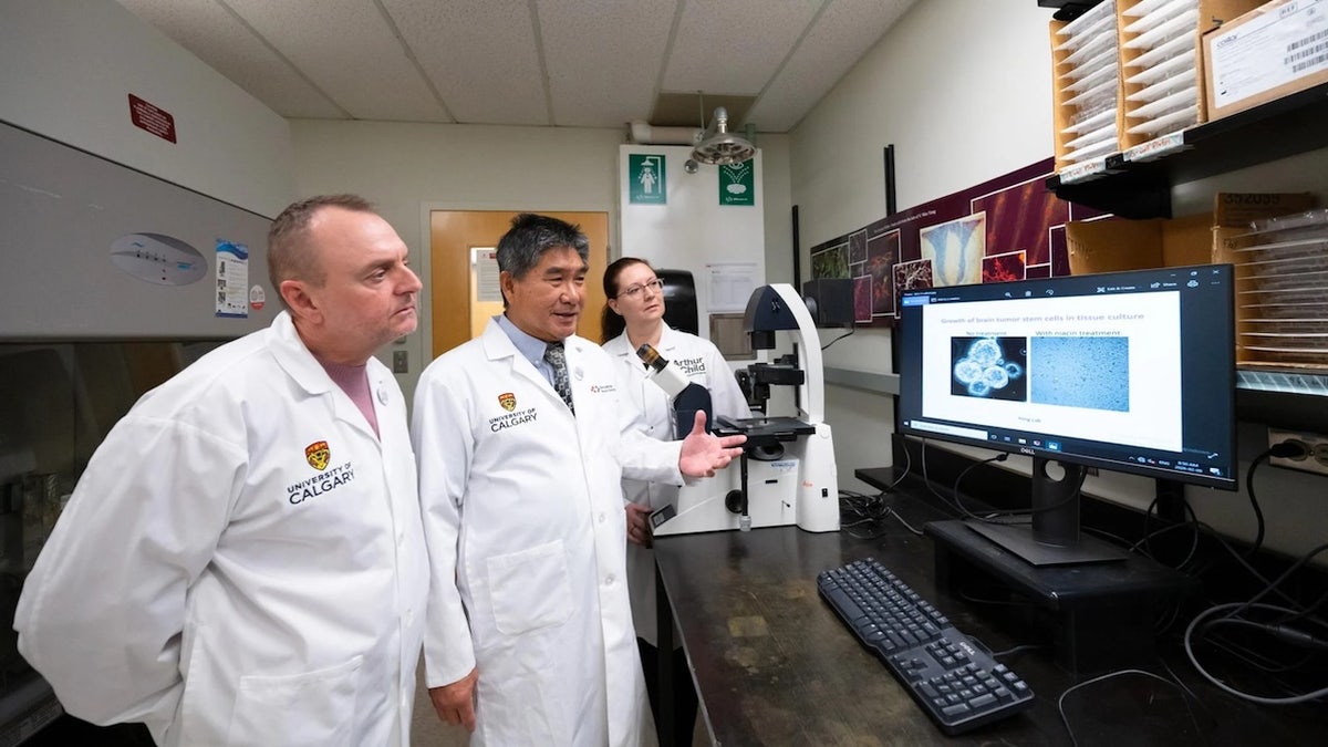 [aggregator] downloaded image for imported item #58810