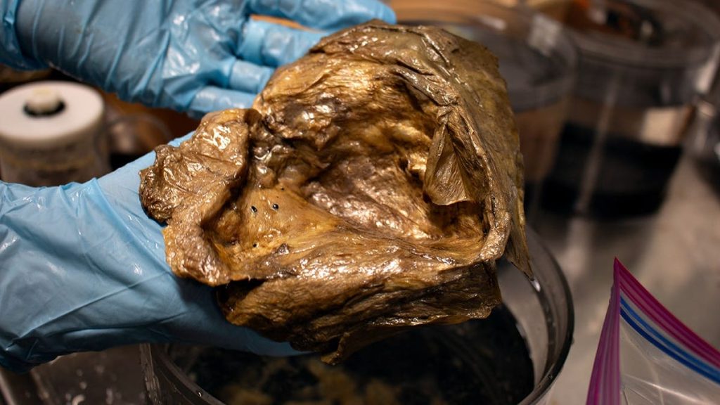 [aggregator] downloaded image for imported item #69028