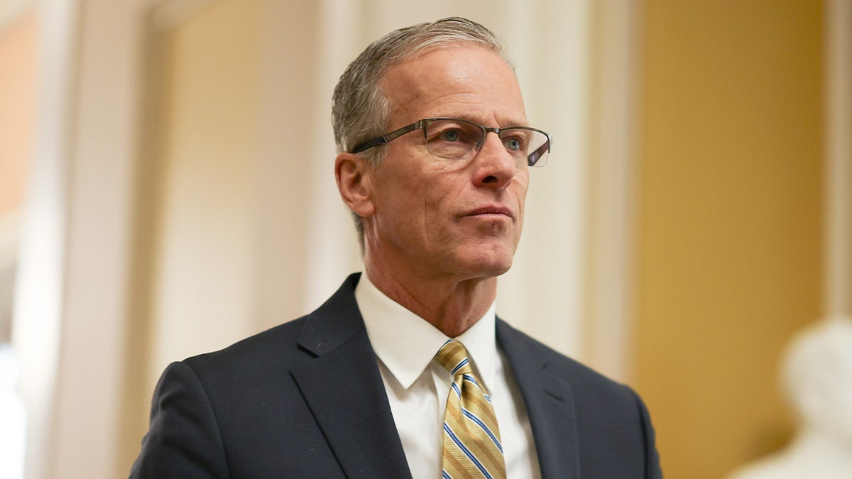 [aggregator] downloaded image for imported item #65778