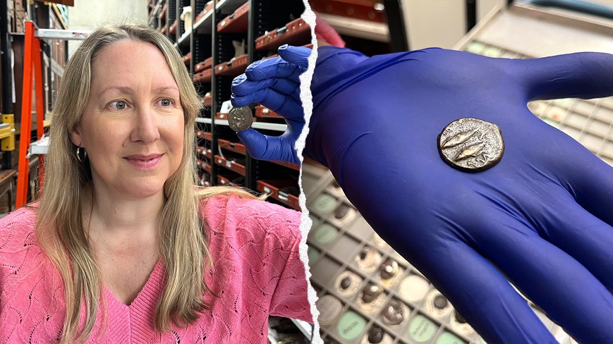 [aggregator] downloaded image for imported item #59750