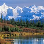 [aggregator] downloaded image for imported item #86092