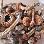 [aggregator] downloaded image for imported item #89133