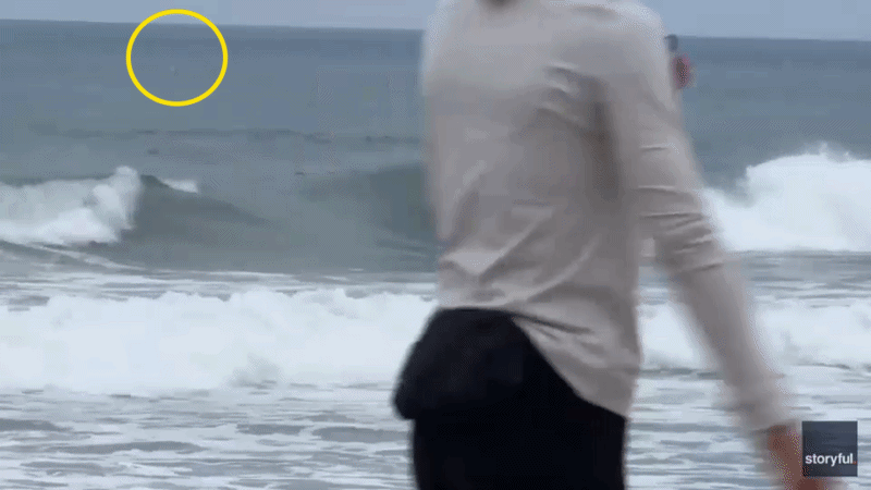Shark jumping in the water near a boogie boarder.
