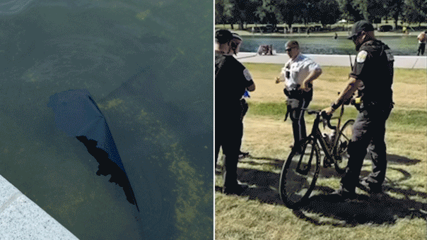 Split of the Reflecting Pool liner and an arrest by U.S. Park Police