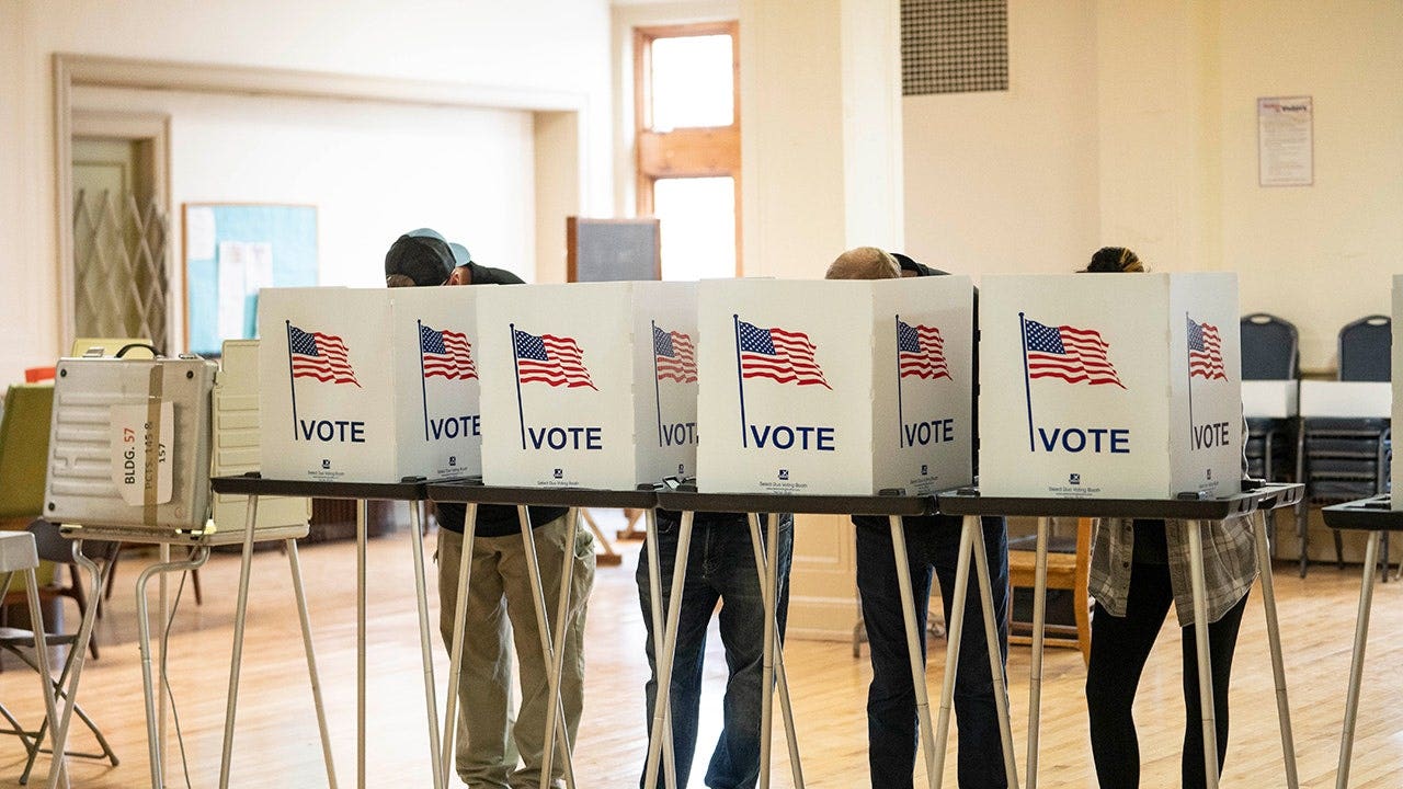 DAVID MARCUS: Experts crowned El-Sayed — then Michigan voters turned his win into a near-disaster image