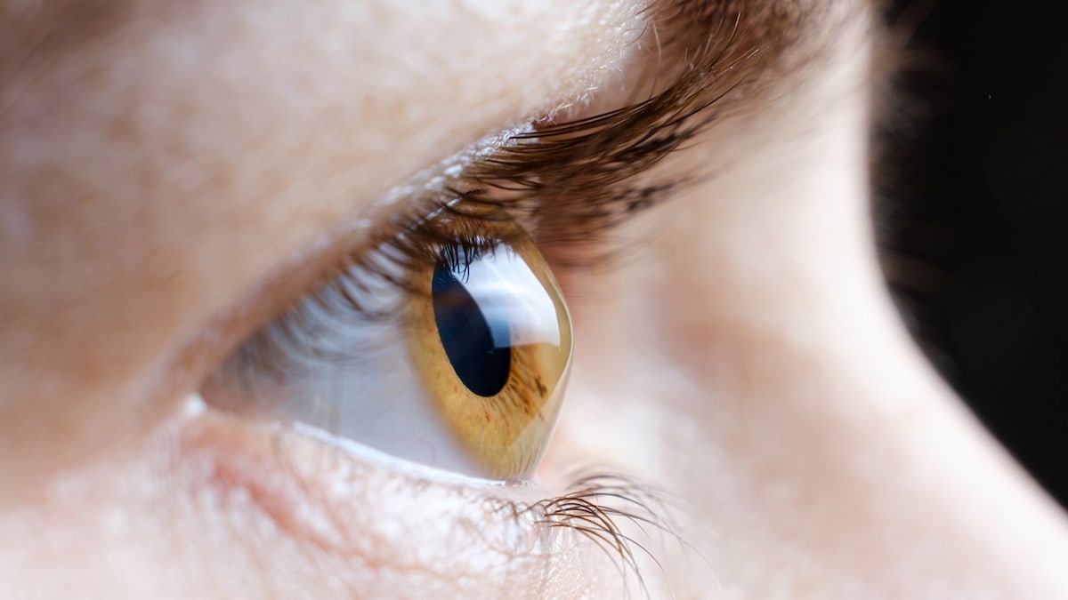 [aggregator] downloaded image for imported item #128195
