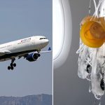 [aggregator] downloaded image for imported item #124365
