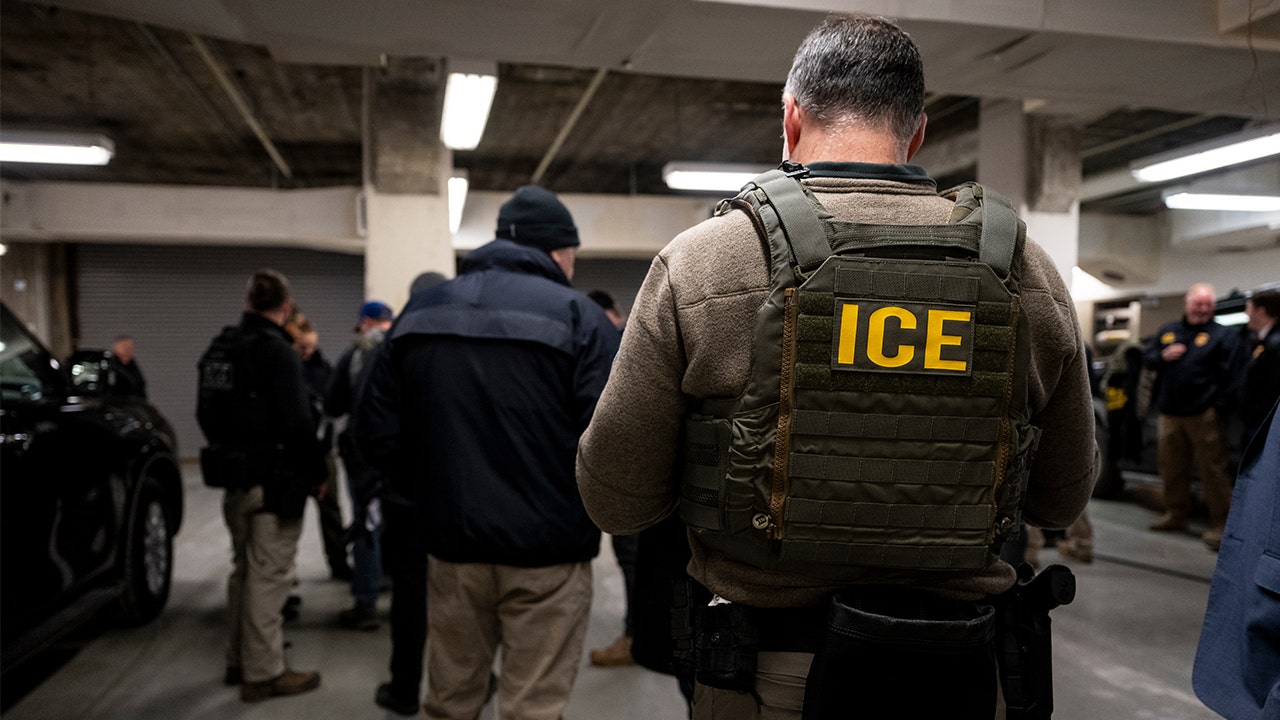 Fox News Poll: Majority says immigration enforcement has crossed the line image
