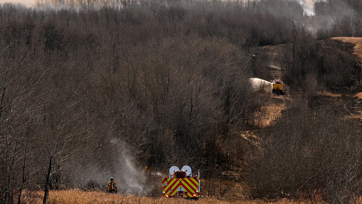 [aggregator] downloaded image for imported item #136717
